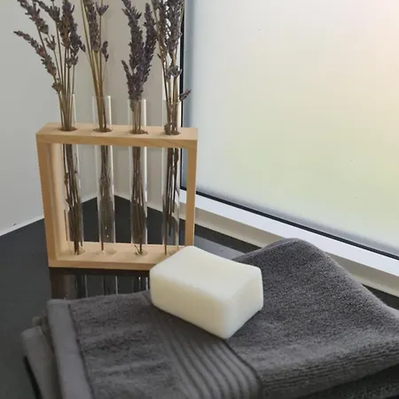 Le Loft De Village-Neuf *